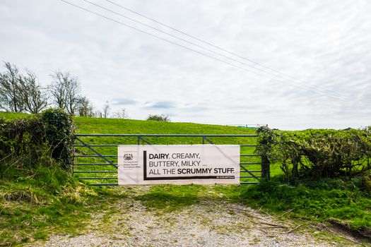 Dairy products sign on metal farm gate in Lancashire