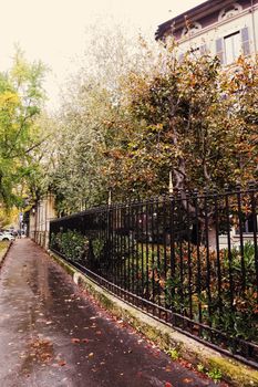 Autumn nature in park, fall leaves and trees outdoors, beautiful season in Milan, Lombardy region in Northern Italy