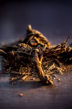 Close up of raw ayurvedic herb i.e., chitrak/Plumbago zeylanica roots on the brown-colored shiny surface along with its powder. Vertical shot.