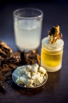 Raw ayurvedic herb chitrak/Plumbago zeylanica roots on the brown-colored shiny surface with some buttermilk, ghee or clarified butter, its extract, curd, and honey with it used in ayurvedic therapy.
