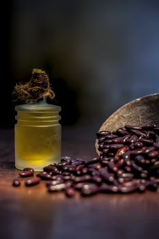 Close up of raw kidney beans on brown colored surface in a clay bowl and its oil in a small transparent glass bottle with a spotlight on it. Vertical shot.