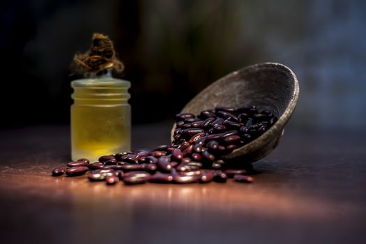 Close up of raw kidney beans on brown colored surface in a clay bowl and its oil in a small transparent glass bottle with a spotlight on it. Horizontal shot.