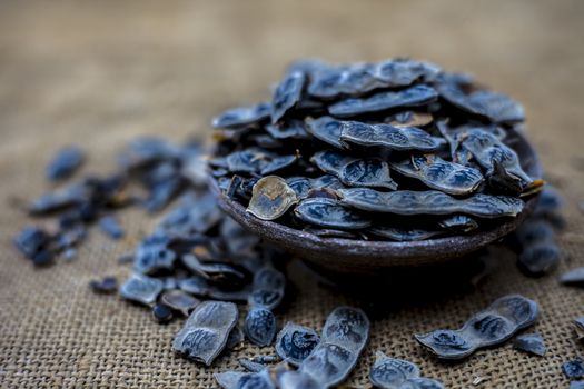 Close up of babool ayurvedic herb in a clay bowl on a gunny bag's surface for the treatment of various tooth-related diseases. Horizontal shot.