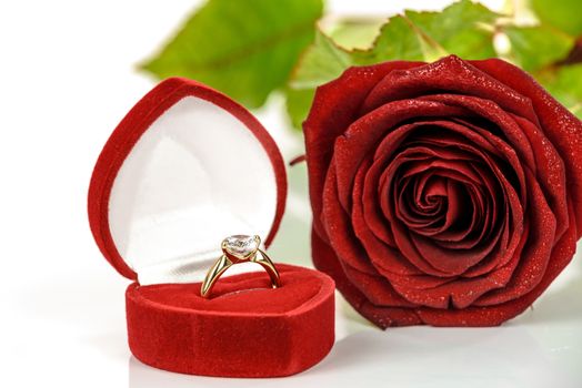 Gold engagement ring with diamonds in an elegant velvet box on the background of red rose.