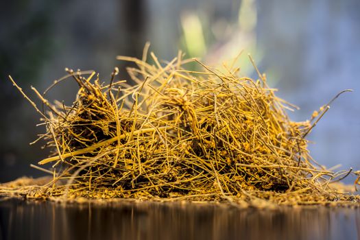 Close up shot of ayurvedic memory booster herb shankhpushpi or Convolvulus pluricaulis roots on black wooden surface with selective focus and blurred background.