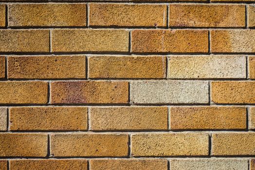 old red brick wall on a sunny spring day