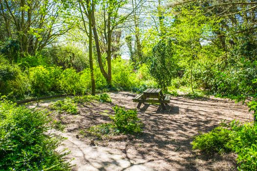 Picnic table on woodland walk in Happy Mount Park UK