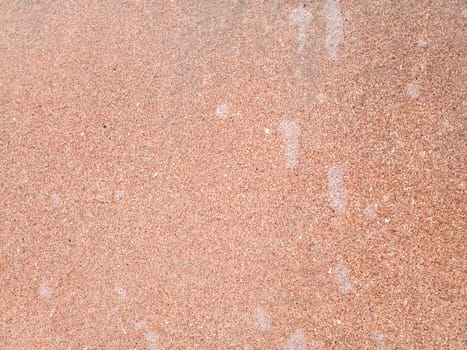 The background is the texture of the sea sand on the beach. Sand shell.