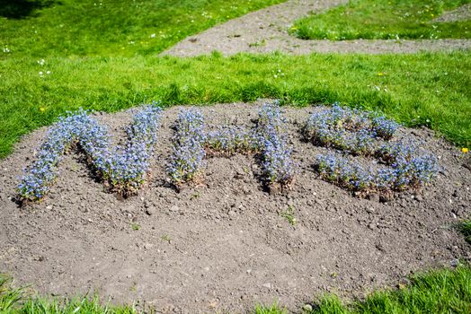 NHS in blue flowers in Happy Mount Park UK