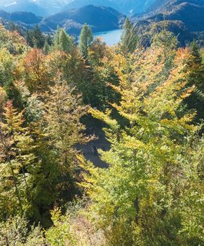 Beautiful nature of European Alps, landscape view of alpine mountains, lake and village on a sunny day, travel and destination scenery