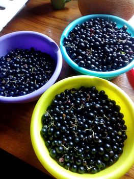 Blackcurrant berries in a cup on the table.