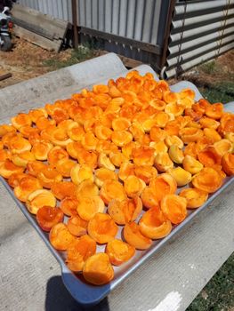 Drying apricot fruit separated from the bone.