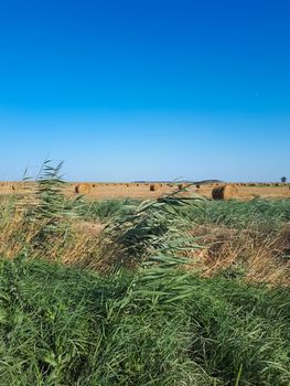 Hay and bales of hay on the field against the blue sky.