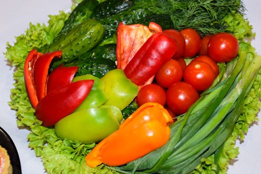 Set of different fresh vegetables in a plate, dill, tomato parsley bell pepper onion cucumber red pepper and other
