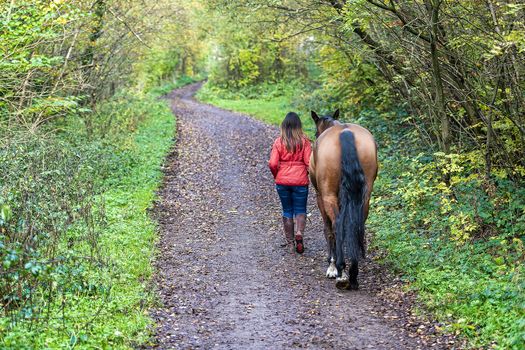 UK, Sheffield - Oct 2020: Woman in a red jacket walking with a horse along a woodland trail