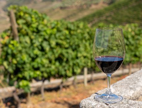 Glass of red wine or port for tasting above the hillsides of the Douro valley in Portugal