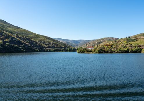 Vineyards line the hillsides at a wide section of the river Douro in Portugal