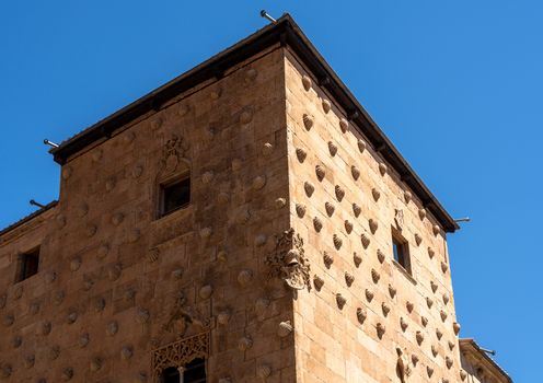 Ornate stone carvings of sea shells on the Casa de la Conchas in Salamanca Spain