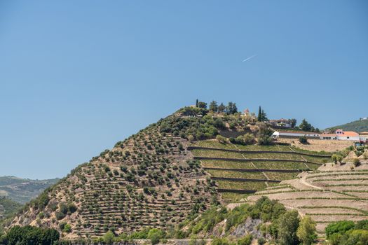 Terraces of vines and vineyards on the banks of the River Douro near Vila Real in Portugal