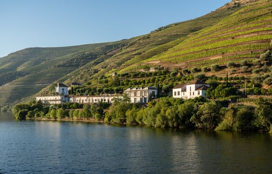 Whitewashed old Quinta or vineyard building on the banks of the River Douro in Portugal near Pinhao