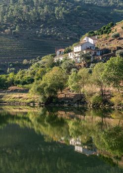 Whitewashed old Quinta or vineyard building on the banks of the River Douro in Portugal near Pinhao