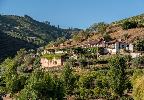 Whitewashed old Quinta or vineyard building on the banks of the River Douro in Portugal near Pinhao