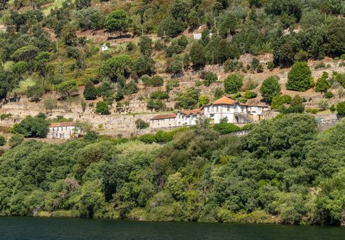 Whitewashed old Quinta or vineyard building on the banks of the River Douro in Portugal
