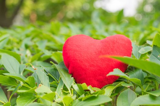red heart on the tree with green backgrounds with copy space