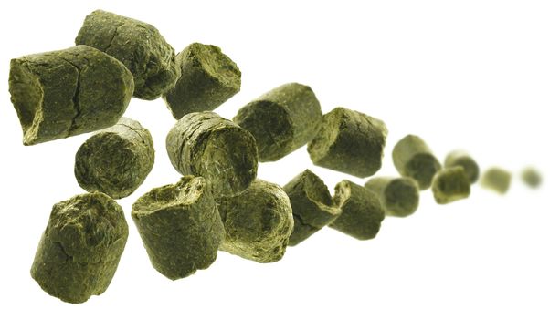 Green granulated hops levitate on a white background.