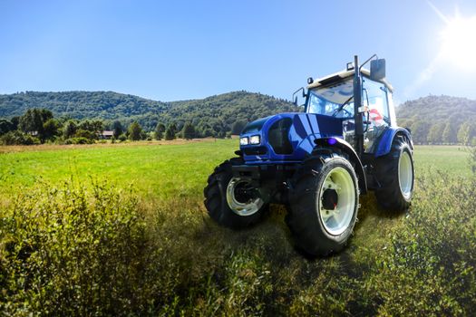 Blue generic farm tractor on a green meadow in sunlight.