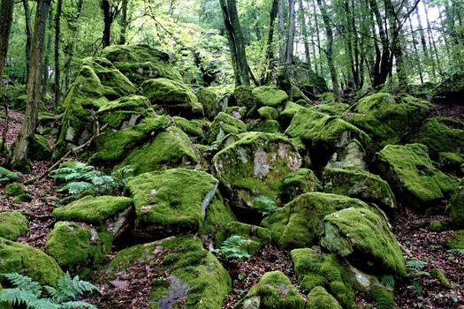 Rock chaos in the forest of Oberflockenbach, Germany