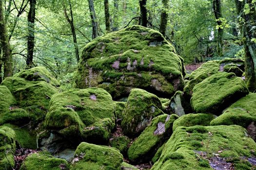 Close up of a beautiful rock chaos in Weinheim Oberflockenbach, Germany