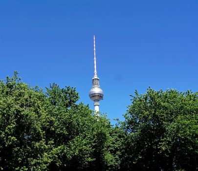 Berlin television tower behind trees and in front of blue sky