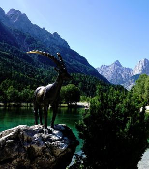 Ibex guarding Jasna Lake in Kranjska Gora, Slovenia