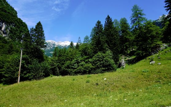 View from the botanical garden Alpina Julianum in Trenta, Slovenia