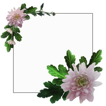 White square frame with pink chrysanthemums and green leaves and twigs with white space for text.