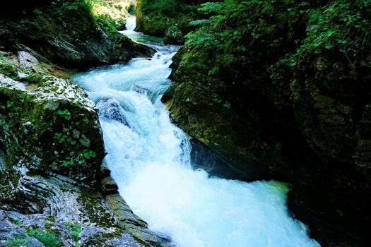 Small waterfall in the Vintgar Gorge, Slovenia
