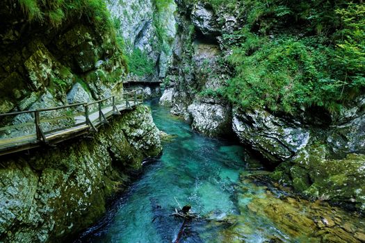 Breathtaking view over colorful Radovna river in Vintgar Gorge, Slovenia