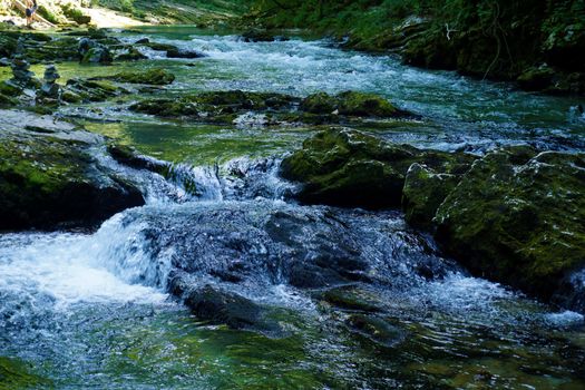 Mossy rocks in the Radovna river near Podhom, Slovenia