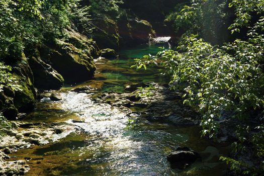 Tranquil part of Radovna river in the Vintgar Gorge, Slovenia