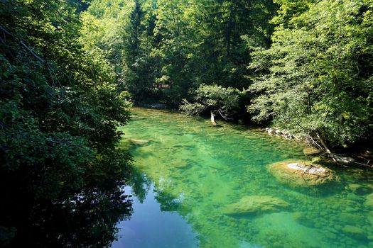 Tranquil and turquois Radovna river near Podhom, Slovenia