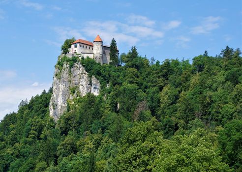 Bled castle enthroned on a rock surrounded by trees