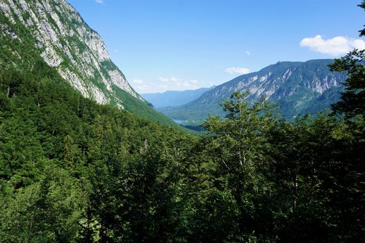 View over forest to Vogel mountain and Lake Bohinj, Slovenia