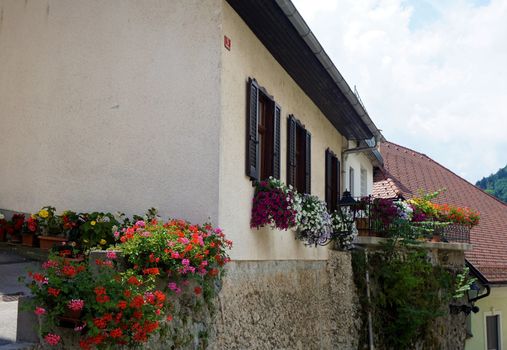 Old house with beautiful flowers in Kranj, Slovenia