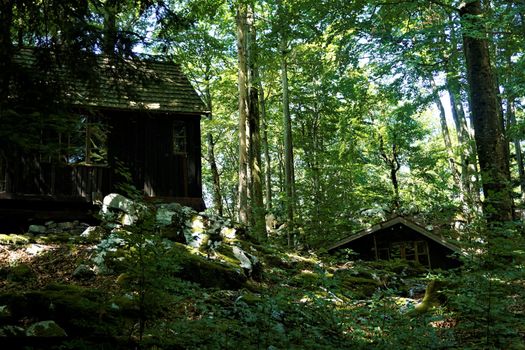 Hidden houses of Baza 20 in Kocevski rog, Slovenia