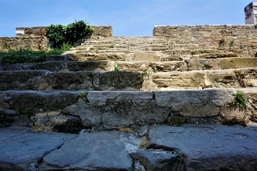 Old cobblestone stairs and plants in Piran, Slovenia