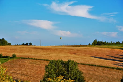 Hot-air balloon flying over a wheat field in the summer