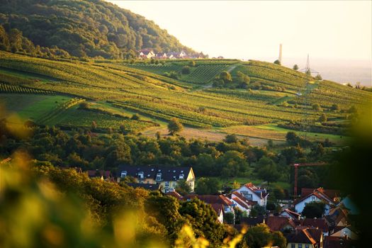 A German village between some vineyards and hills