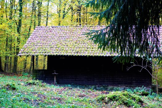 Abandonned hut in the forest near Nussloch, Germany