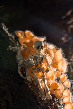 Skeleton sitting with his dog in the woods